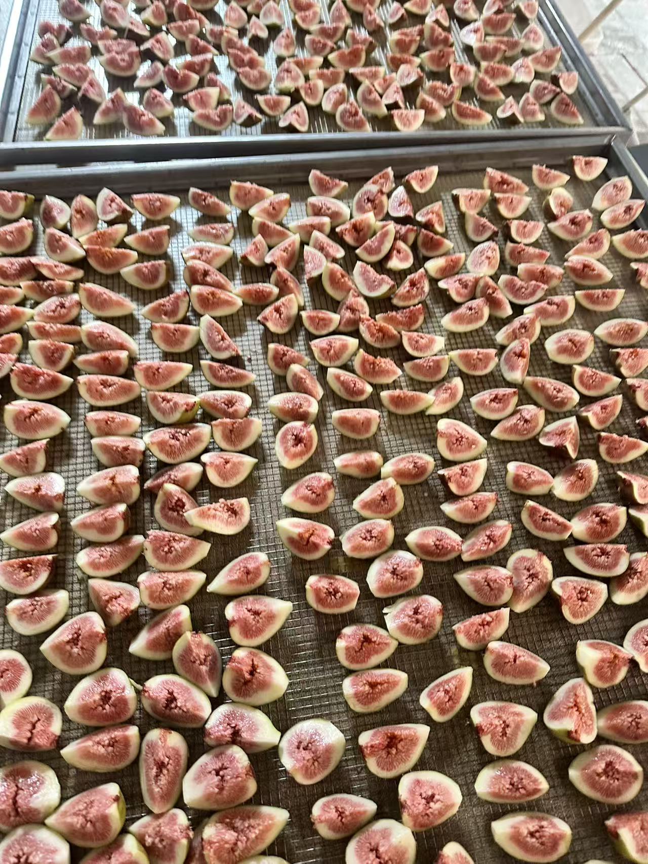 蜀冷冷暖设备烘干车间