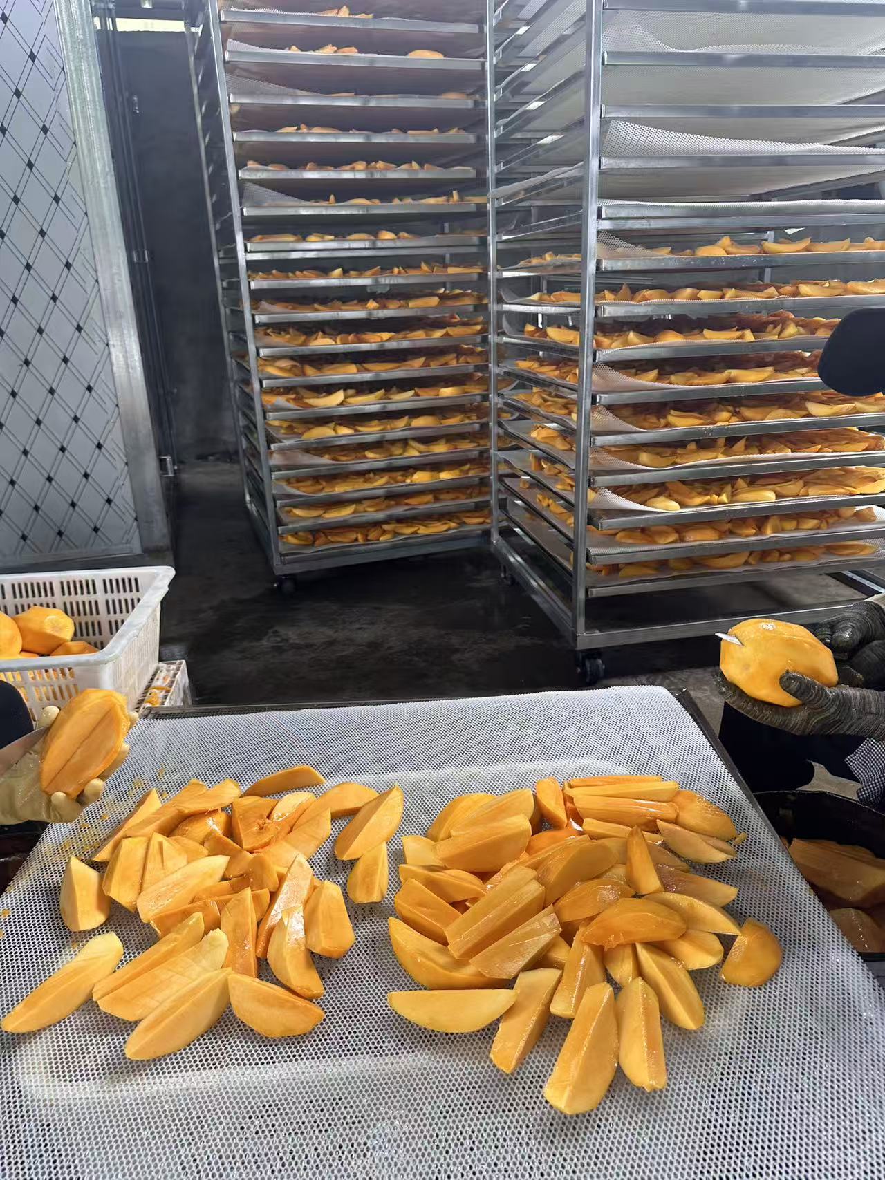 烘干设备能效对比图