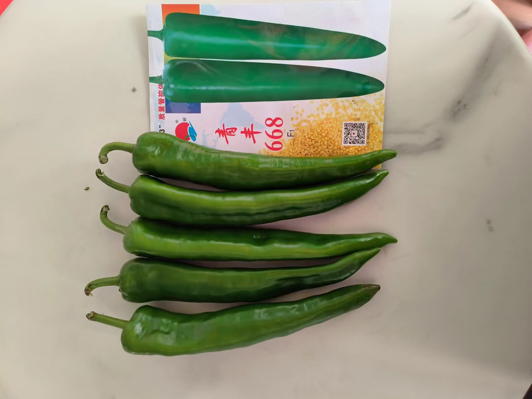 辣椒种植技术指导