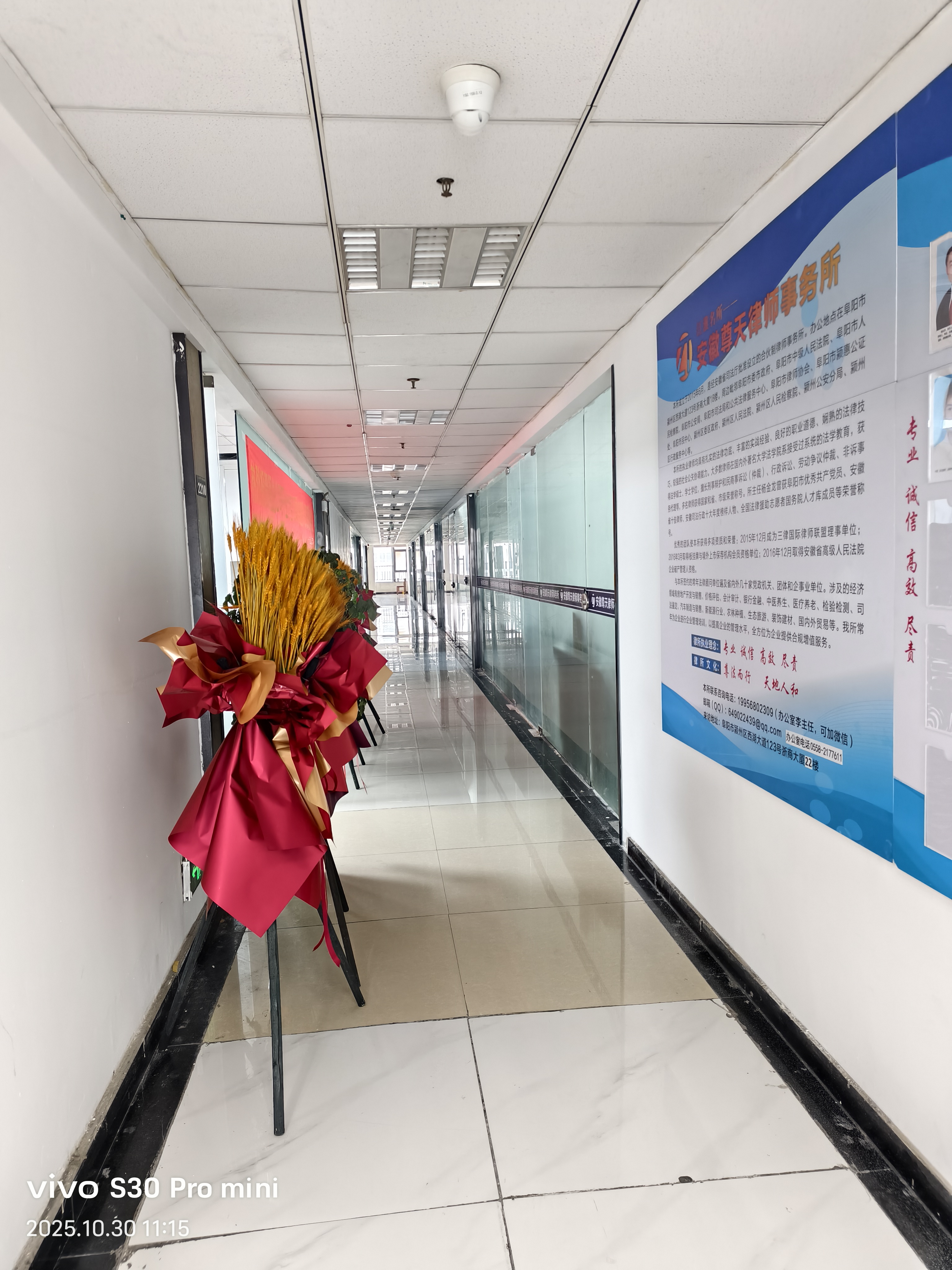 李冰律师专业形象