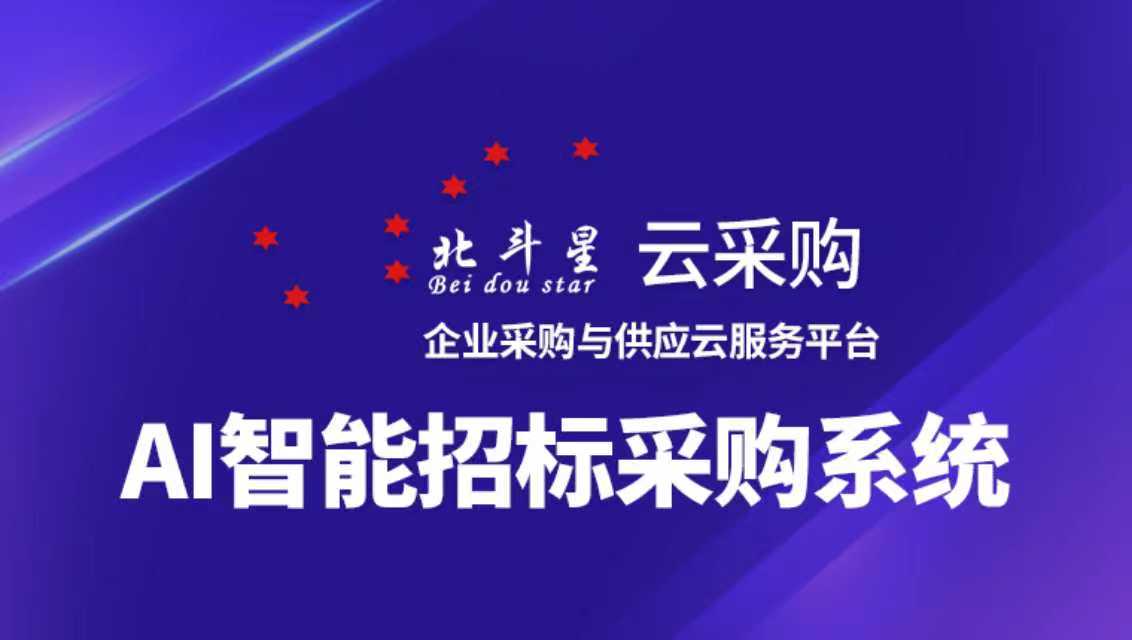 北斗星云采购管理系统界面